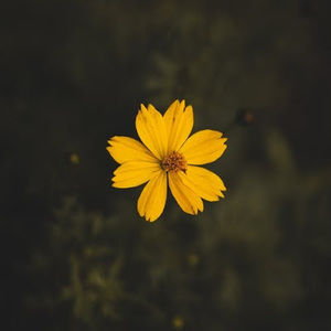 Meet your Posher, Donatella